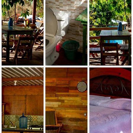 La Casa Del Nenufar Hotel Oaxaca Eksteriør billede