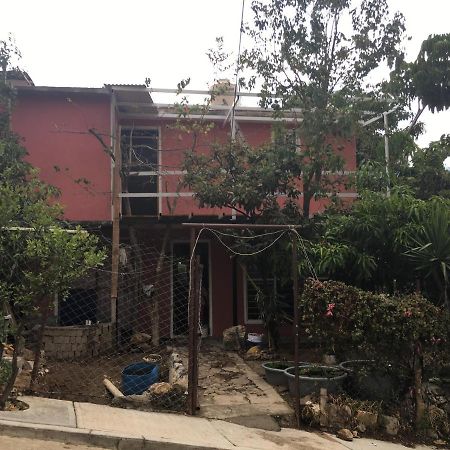 La Casa Del Nenufar Hotel Oaxaca Eksteriør billede