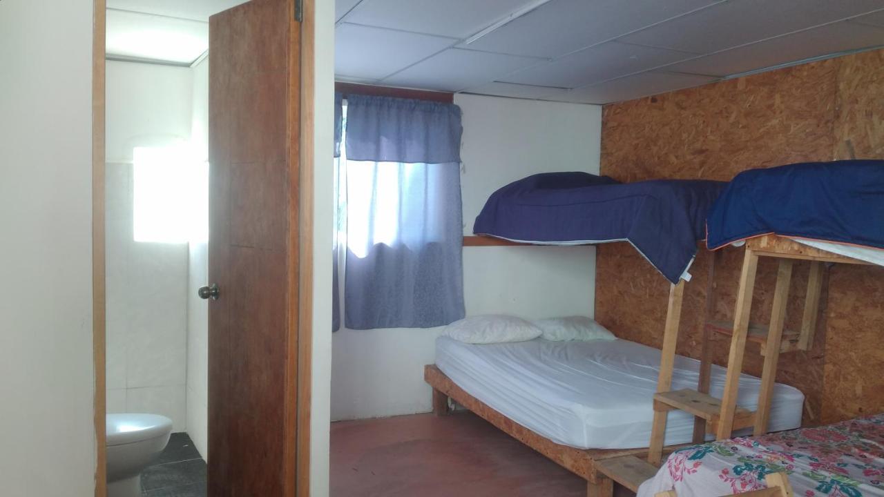 La Casa Del Nenufar Hotel Oaxaca Eksteriør billede