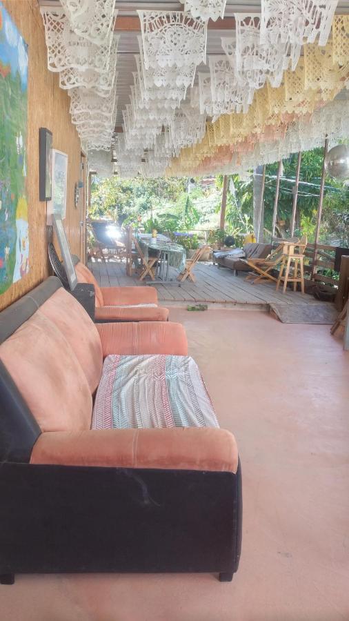 La Casa Del Nenufar Hotel Oaxaca Eksteriør billede