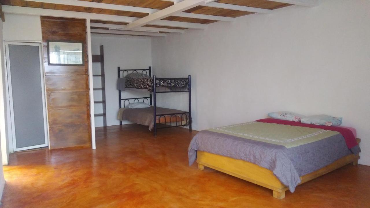 La Casa Del Nenufar Hotel Oaxaca Eksteriør billede