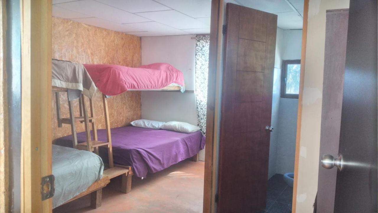 La Casa Del Nenufar Hotel Oaxaca Eksteriør billede