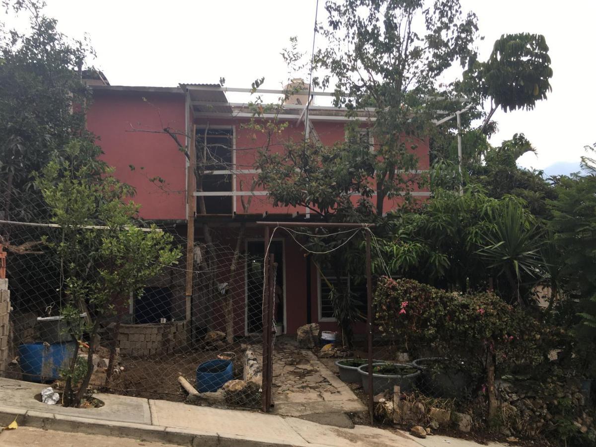 La Casa Del Nenufar Hotel Oaxaca Eksteriør billede