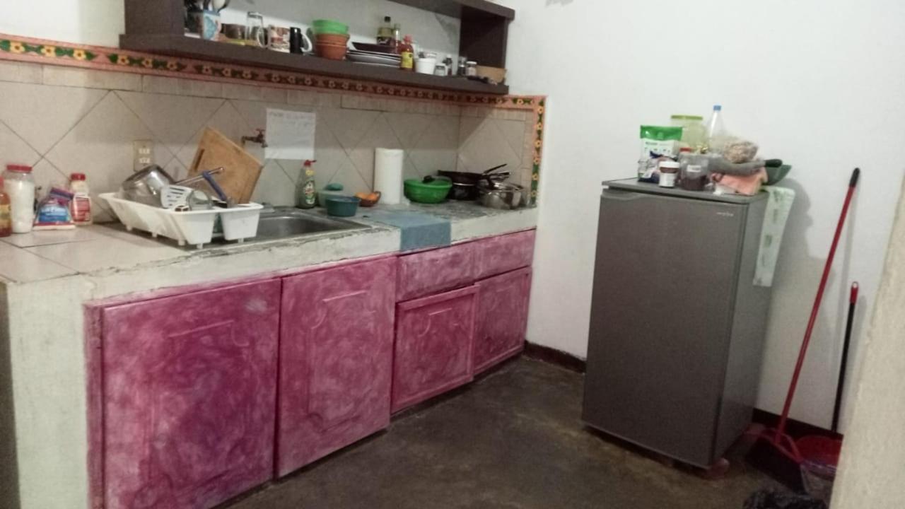 La Casa Del Nenufar Hotel Oaxaca Eksteriør billede