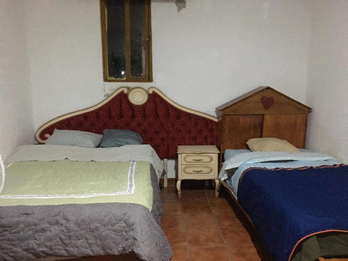 La Casa Del Nenufar Hotel Oaxaca Eksteriør billede