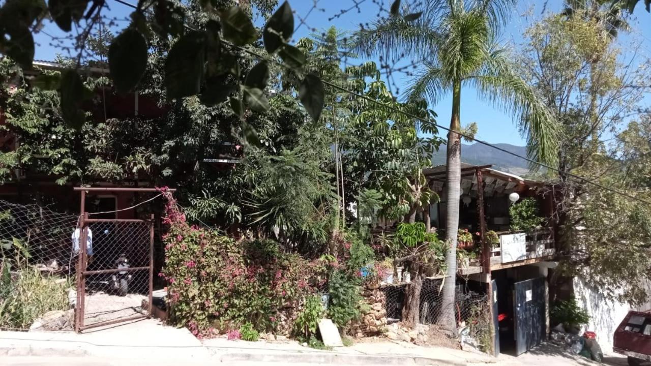 La Casa Del Nenufar Hotel Oaxaca Eksteriør billede