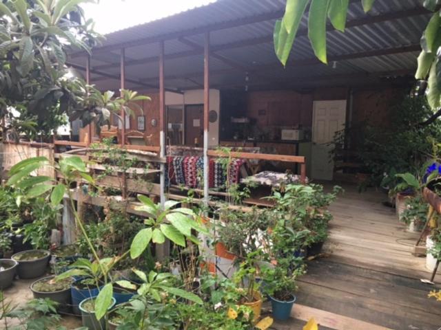La Casa Del Nenufar Hotel Oaxaca Eksteriør billede